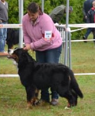 du royaume des reves - Régionale du limousin