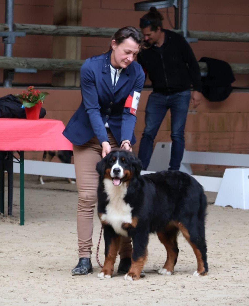 Vaille que vaille dite vénus du royaume des reves