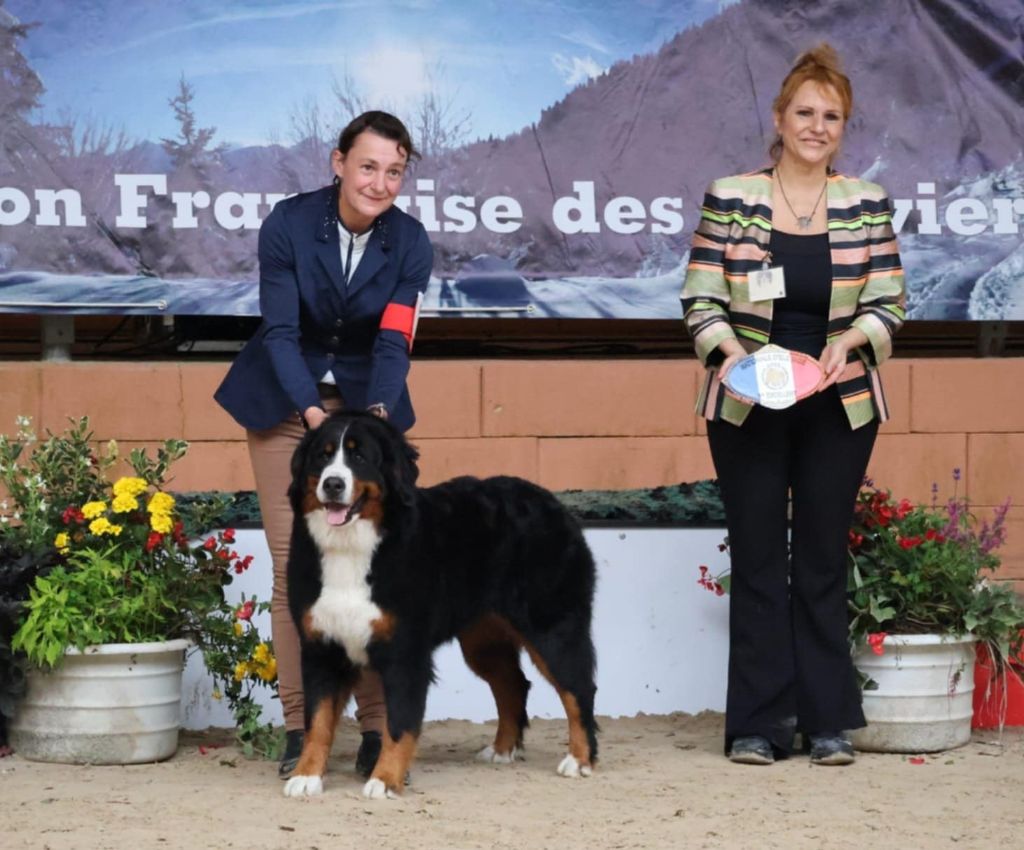Vla la vedette du royaume des rêves du royaume des reves