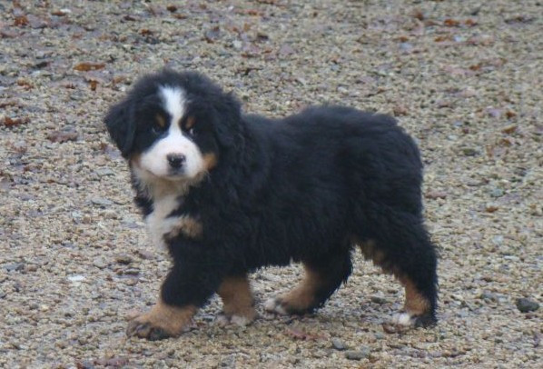 A la une du royaume des reves