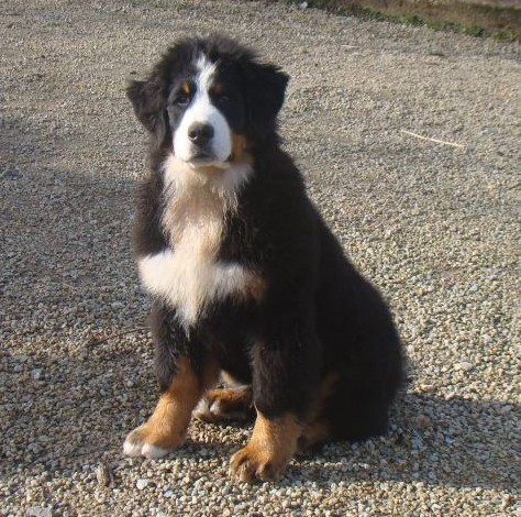 A la une du royaume des reves