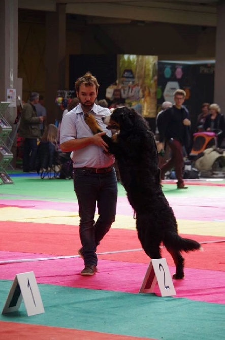 du royaume des reves - expo d'orléans