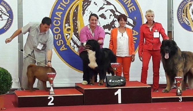 du royaume des reves - Trophé "Vos chiens magasine"
